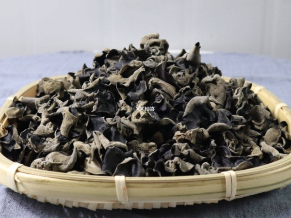 囊胚移植后哪些人不能吃木耳