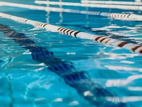 有氧运动包括哪些项目