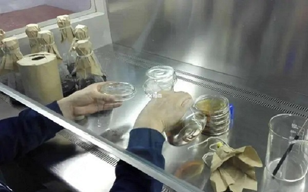 移植鲜胚的内膜厚度多少正常