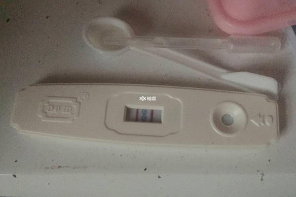 鲜胚移植后如何保胎效果好