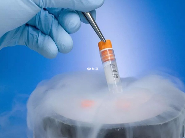 做试管婴儿能不能一次成功