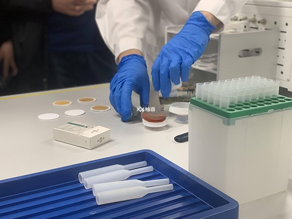 哪些因素会影响卵子存活时间