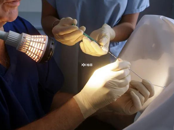 移植两枚鲜胚的条件